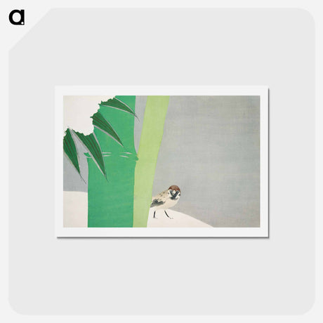 アートポストカード-Sparrow from Momoyogusa–Flowers of a Hundred Generations - 神坂 雪佳 Postcard.