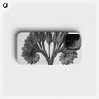 1-62_Karl-Blossfeldt_phone