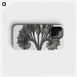 1-62_Karl-Blossfeldt_phone