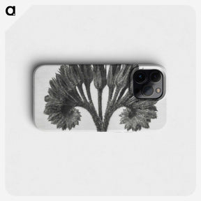 1-62_Karl-Blossfeldt_phone
