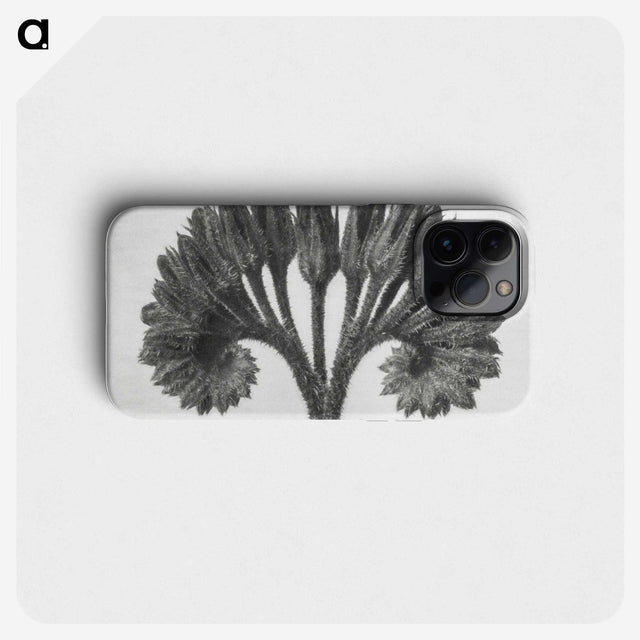 1-62_Karl-Blossfeldt_phone