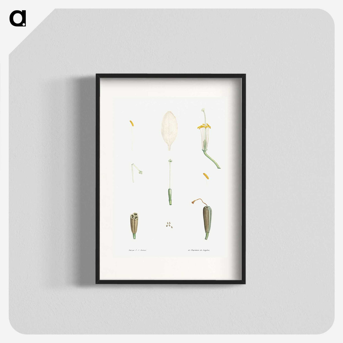 1-62_La-Botanique_blk