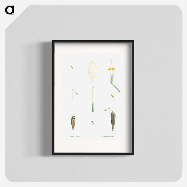 1-62_La-Botanique_blk