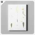 1-62_La-Botanique_canvas