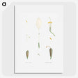 1-62_La-Botanique_picture