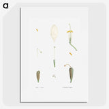1-62_La-Botanique_picture