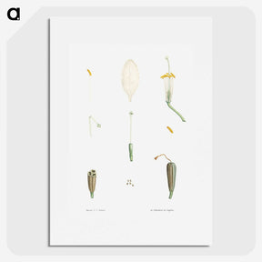 1-62_La-Botanique_picture