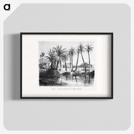 1-62_Les-Palmiers-Histoire-Iconographique_blk