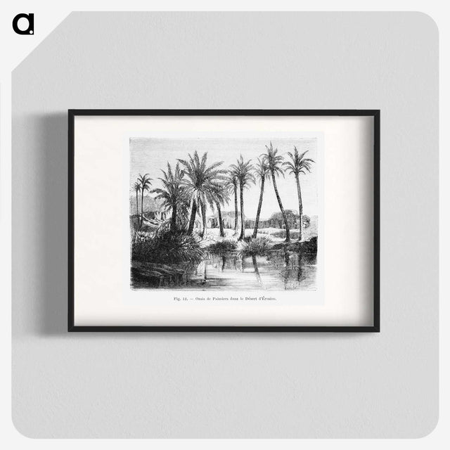 1-62_Les-Palmiers-Histoire-Iconographique_blk