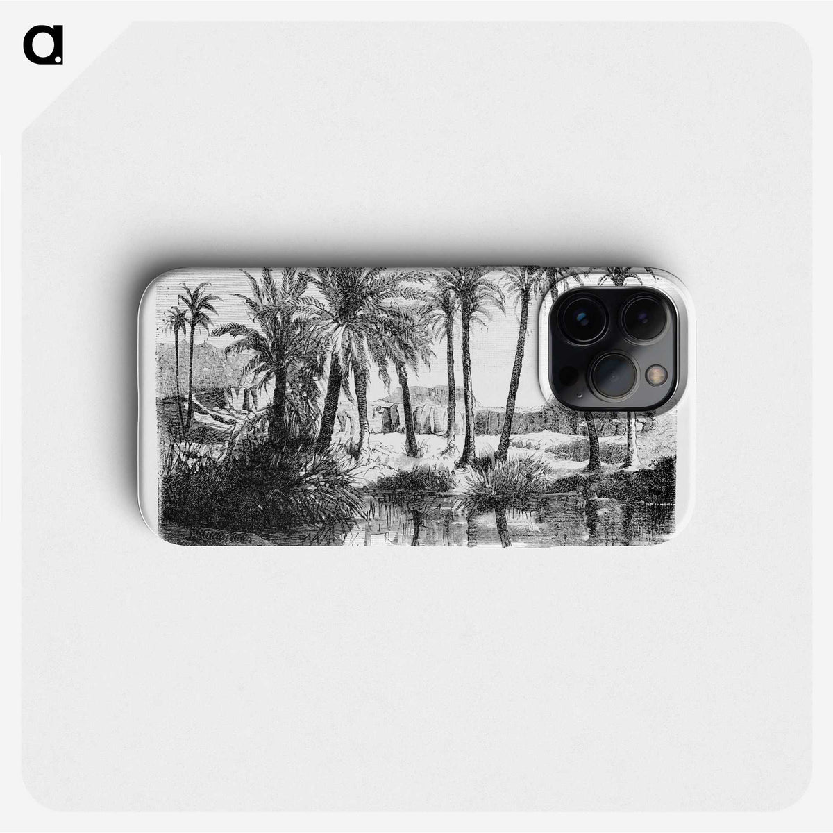 1-62_Les-Palmiers-Histoire-Iconographique_phone