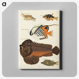 1-62_Louis-Renard_canvas