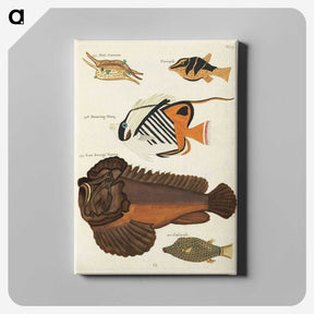 1-62_Louis-Renard_canvas