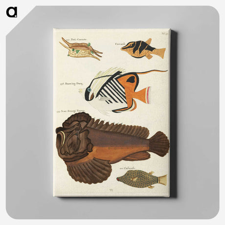 1-62_Louis-Renard_canvas