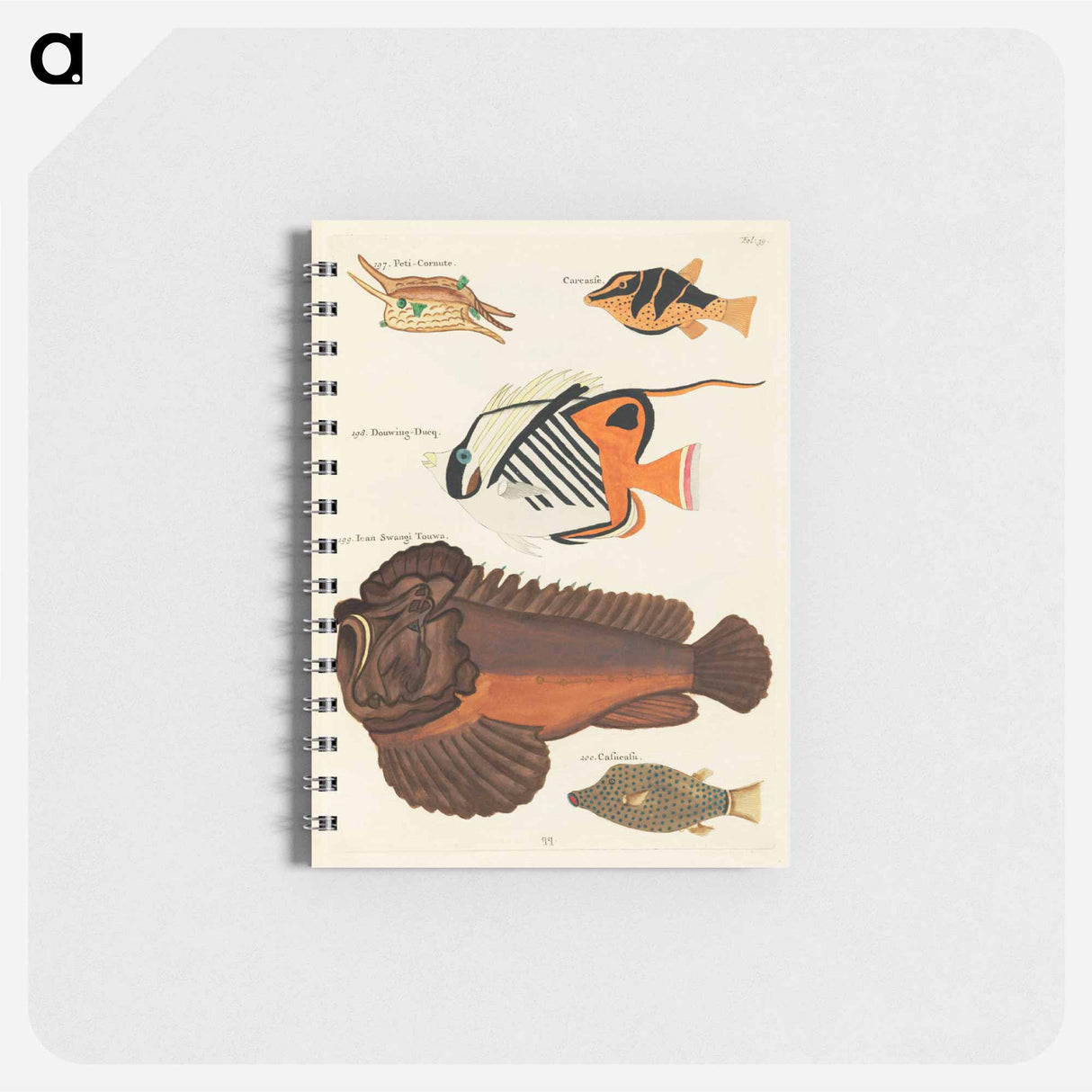 Moluccan Fishes
 - ルイ ルナール Memo.