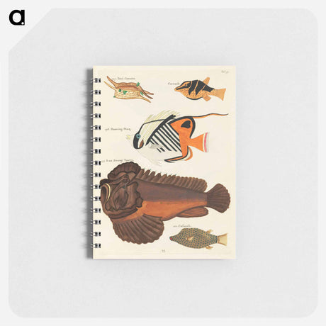 アートメモ帳-Moluccan Fishes
 - ルイ ルナール Memo.
