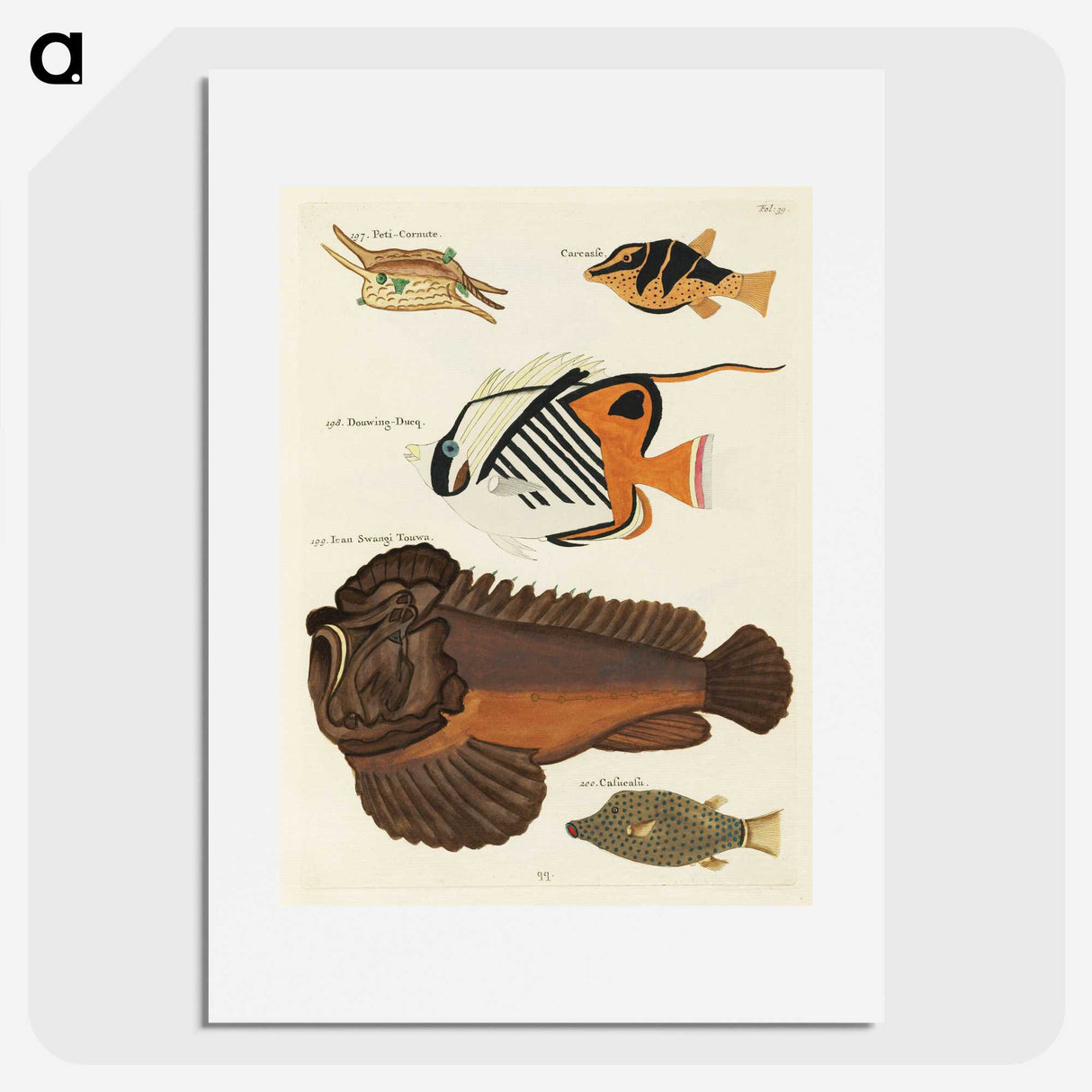 1-62_Louis-Renard_picture