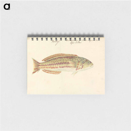 アートメモ帳-Mullup
 - ルイージ バルガーニ Memo.