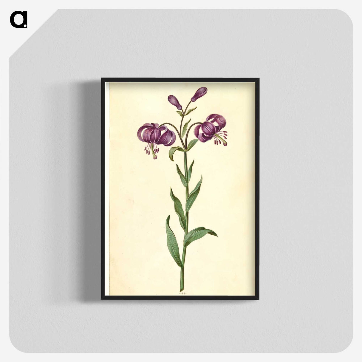 1-62_Maria-Sibylla-Merian_blk-crop
