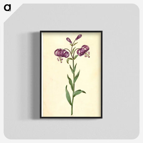 1-62_Maria-Sibylla-Merian_blk-crop