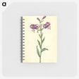 1-62_Maria-Sibylla-Merian_memo