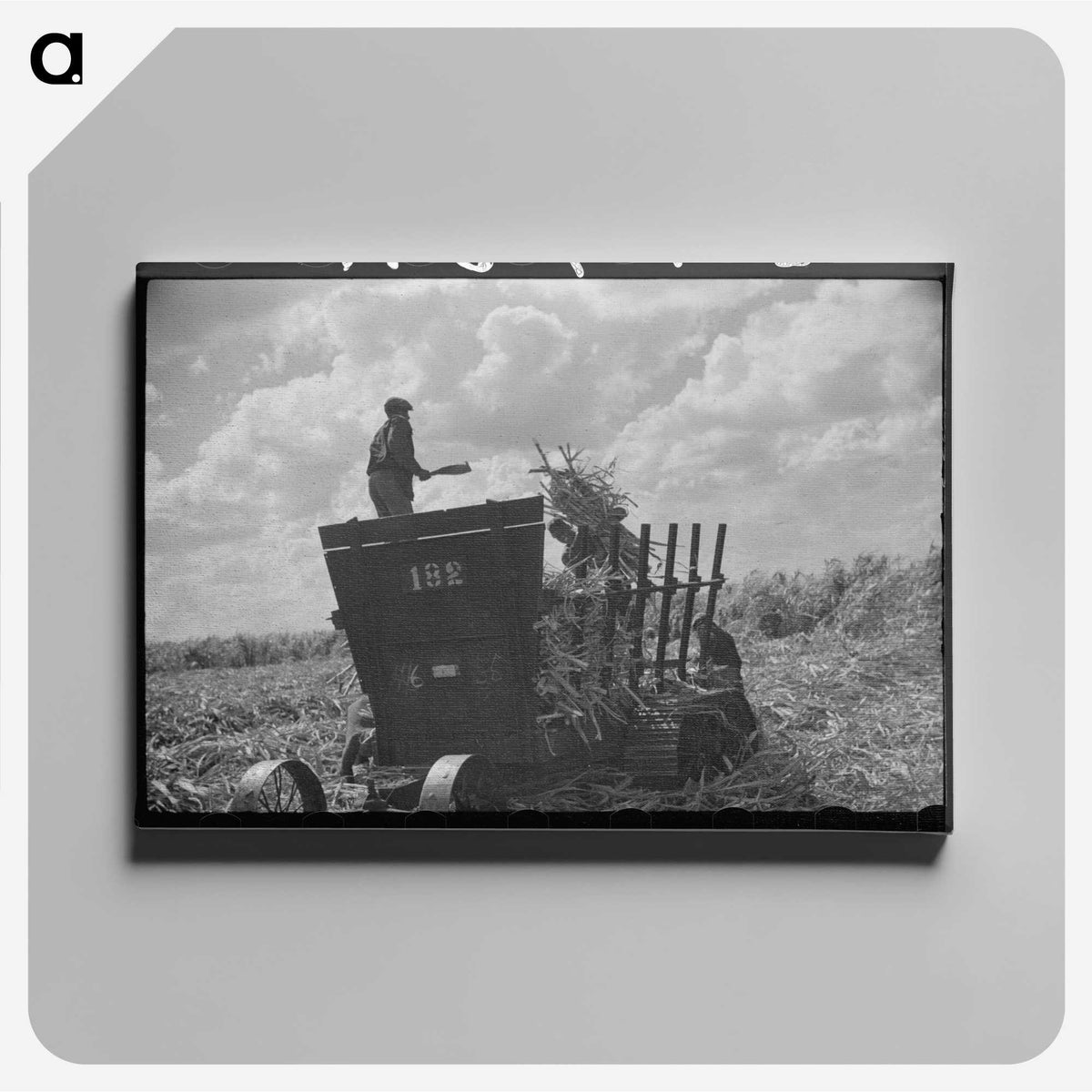 1-62_Marion-Post-Wolcott_canvas