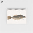 1-62_Mark-Catesby_memo