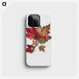 1-62_Mary-Vaux-Walcott_phone