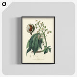 1-62_Medical-Botany_blk-crop