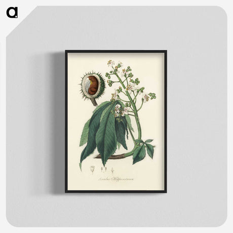 1-62_Medical-Botany_blk-crop