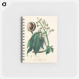 アートメモ帳-European Horse-Chestnut Illustration
 - 薬用植物学 Memo.