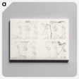 1-62_Monuments-of-Egypt-and-Nubia_canvas