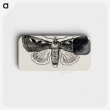 1-62_Moths-and-Butterflies-of-the-United-States_phone