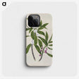 1-62_Native-Flowering-Plants-of-New-Zealand_phone