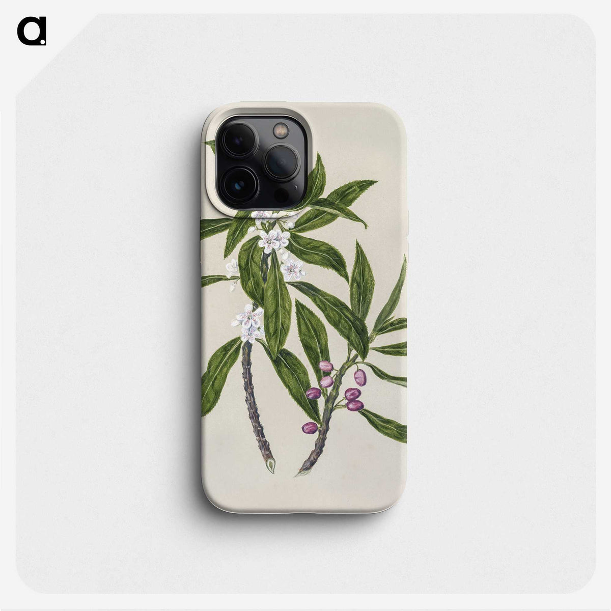 1-62_Native-Flowering-Plants-of-New-Zealand_phone