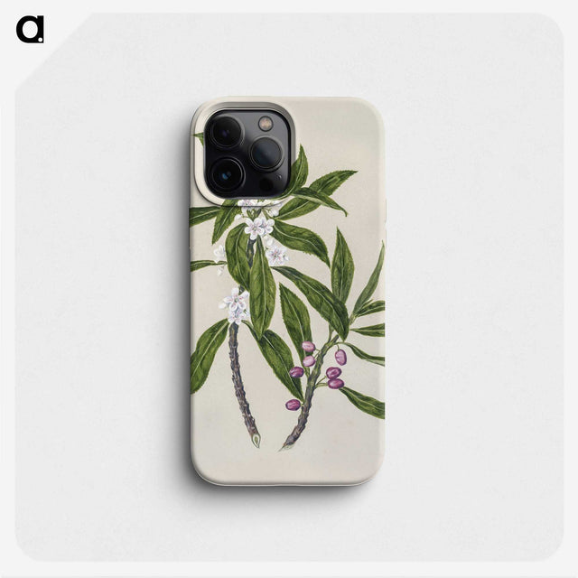 1-62_Native-Flowering-Plants-of-New-Zealand_phone