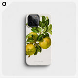 1-62_Nederlandsche-Flora-en-Pomona_phone
