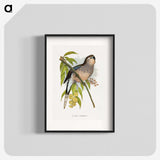 1-62_Parrots-in-Captivity_blk