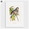 1-62_Parrots-in-Captivity_picture