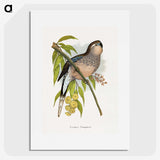1-62_Parrots-in-Captivity_picture