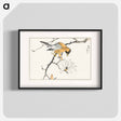アートポスター-Tibetan Hoopoe and Osmanthus Fragrans
 - 鳥類図鑑 Poster.