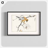 アートポスター-Tibetan Hoopoe and Osmanthus Fragrans
 - 鳥類図鑑 Poster.