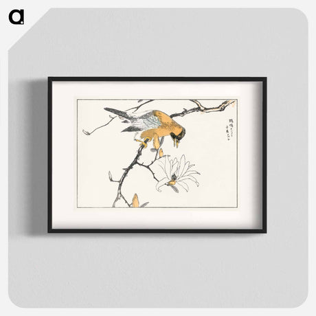 アートポスター-Tibetan Hoopoe and Osmanthus Fragrans
 - 鳥類図鑑 Poster.
