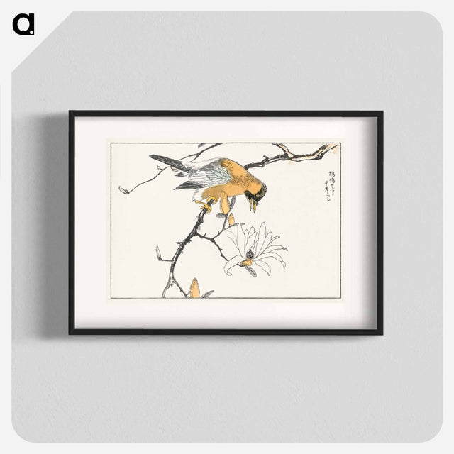 アートポスター-Tibetan Hoopoe and Osmanthus Fragrans
 - 鳥類図鑑 Poster.