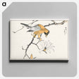 アートパネル-Tibetan Hoopoe and Osmanthus Fragrans
 - 鳥類図鑑 Canvas.