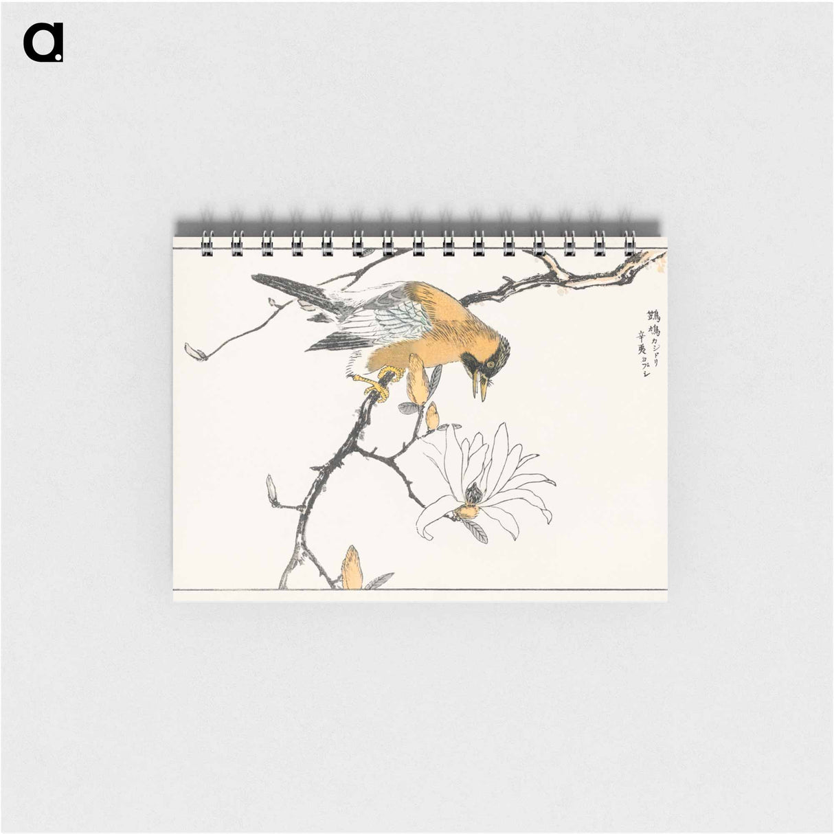 アートメモ帳-Tibetan Hoopoe and Osmanthus Fragrans
 - 鳥類図鑑 Memo.