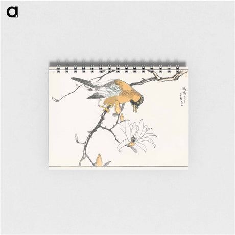 アートメモ帳-Tibetan Hoopoe and Osmanthus Fragrans
 - 鳥類図鑑 Memo.