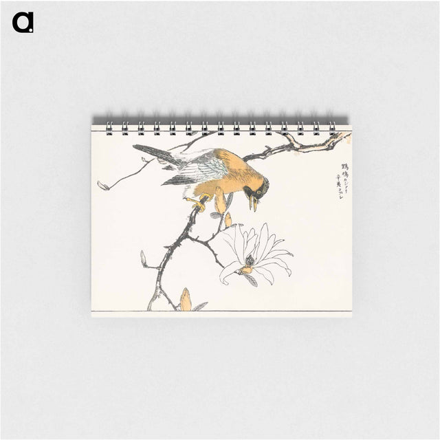 アートメモ帳-Tibetan Hoopoe and Osmanthus Fragrans
 - 鳥類図鑑 Memo.