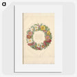 1-62_Pierre-Joseph-Redoute_picture
