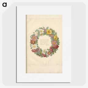 1-62_Pierre-Joseph-Redoute_picture