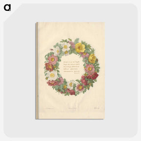 1-62_Pierre-Joseph-Redoute_postcard